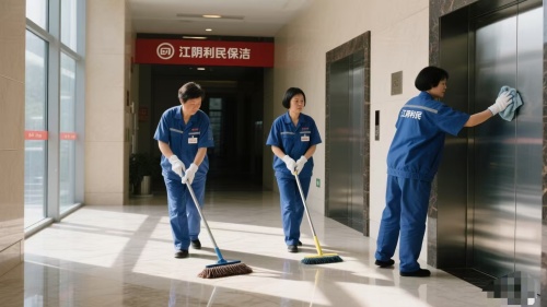 门厅通道保洁作业